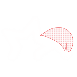 Portal Estrela com Gorro