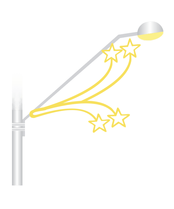 Ramo de Estrela Duplo
