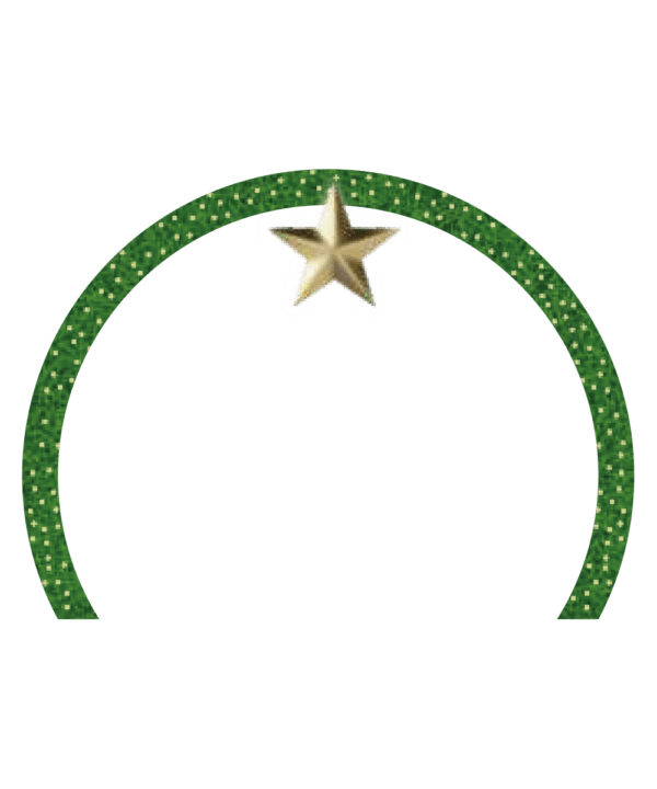 Portal Festão com Estrela